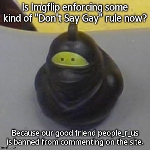 Bruuuuuuuuuuuuuuuh | Is Imgflip enforcing some kind of "Don't Say Gay" rule now? Because our good friend people_r_us is banned from commenting on the site. | image tagged in ninja rubber duck | made w/ Imgflip meme maker