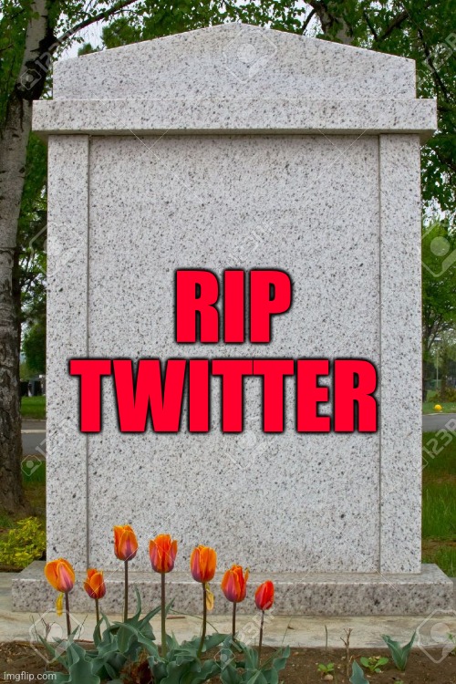 blank gravestone | RIP
TWITTER | image tagged in blank gravestone | made w/ Imgflip meme maker