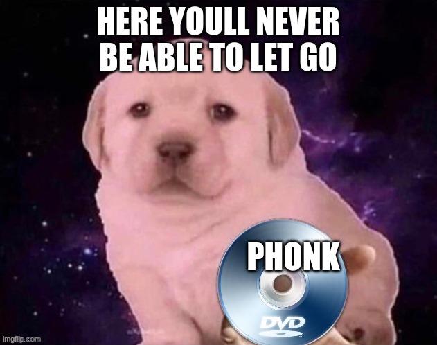 Dog Gives the DVD | HERE YOULL NEVER BE ABLE TO LET GO; PHONK | image tagged in dog gives the dvd | made w/ Imgflip meme maker