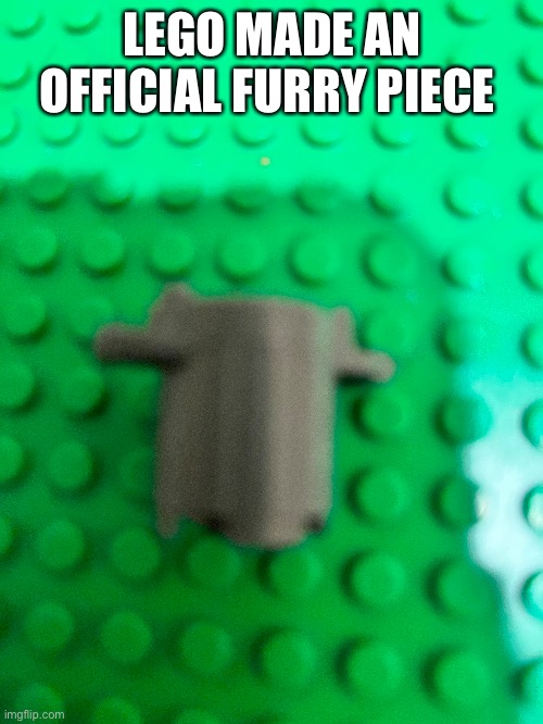 LEGO MADE AN OFFICIAL FURRY PIECE | image tagged in trash,anti furry | made w/ Imgflip meme maker