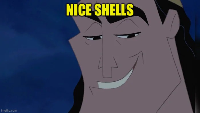 Nice Kronk | NICE SHELLS | image tagged in nice kronk | made w/ Imgflip meme maker