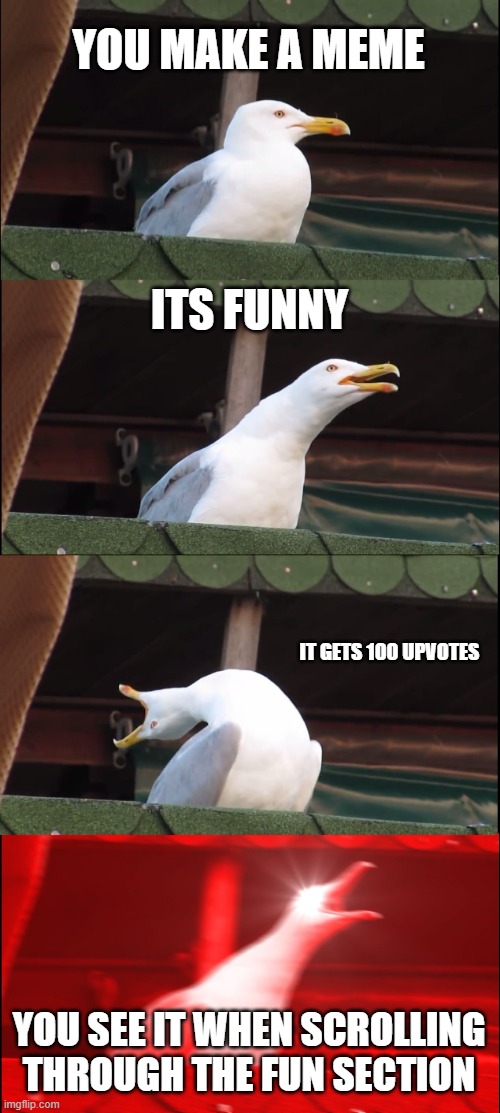 Inhaling Seagull | YOU MAKE A MEME; ITS FUNNY; IT GETS 100 UPVOTES; YOU SEE IT WHEN SCROLLING THROUGH THE FUN SECTION | image tagged in memes,inhaling seagull | made w/ Imgflip meme maker