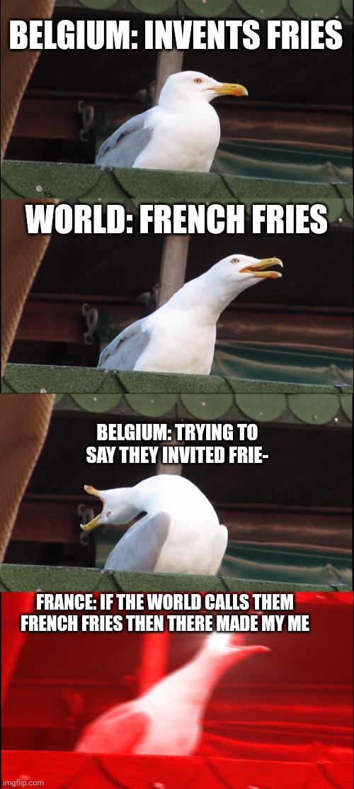 Inhaling Seagull | BELGIUM: INVENTS FRIES; WORLD: FRENCH FRIES; BELGIUM: TRYING TO SAY THEY INVITED FRIE-; FRANCE: IF THE WORLD CALLS THEM FRENCH FRIES THEN THERE MADE MY ME | image tagged in memes,inhaling seagull | made w/ Imgflip meme maker