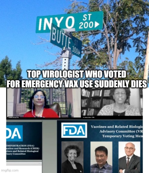 TOP VIROLOGIST WHO VOTED FOR EMERGENCY VAX USE SUDDENLY DIES | image tagged in funny memes | made w/ Imgflip meme maker