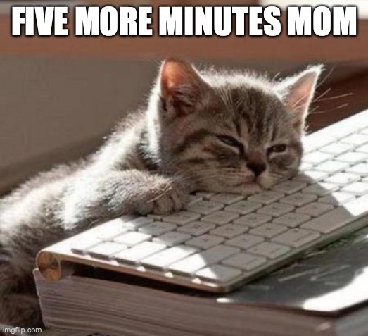 tired cat | FIVE MORE MINUTES MOM | image tagged in tired cat | made w/ Imgflip meme maker