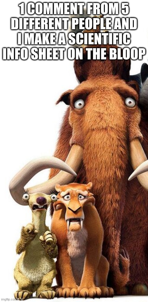Sid, Manny, Diego and Scrat staring | 1 COMMENT FROM 5 DIFFERENT PEOPLE AND I MAKE A SCIENTIFIC INFO SHEET ON THE BLOOP | image tagged in sid manny diego and scrat staring | made w/ Imgflip meme maker