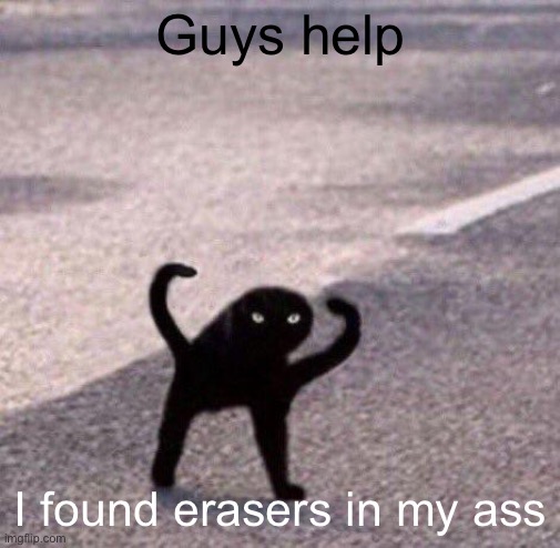 Cursed cat temp | Guys help; I found erasers in my ass | image tagged in cursed cat temp | made w/ Imgflip meme maker