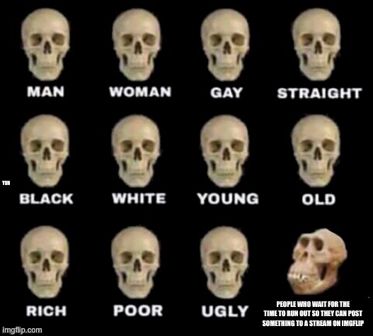 idiot skull | PEOPLE WHO WAIT FOR THE TIME TO RUN OUT SO THEY CAN POST SOMETHING TO A STREAM ON IMGFLIP; YUH | image tagged in idiot skull | made w/ Imgflip meme maker