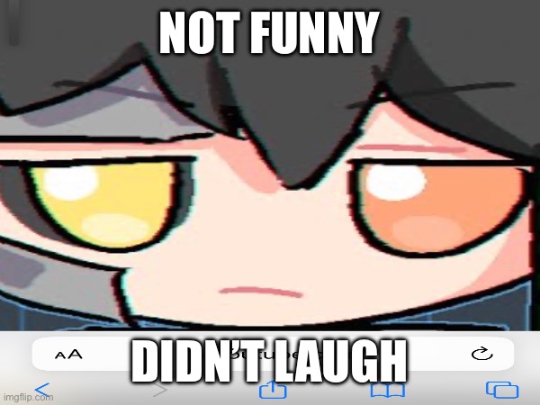NOT FUNNY; DIDN’T LAUGH | made w/ Imgflip meme maker