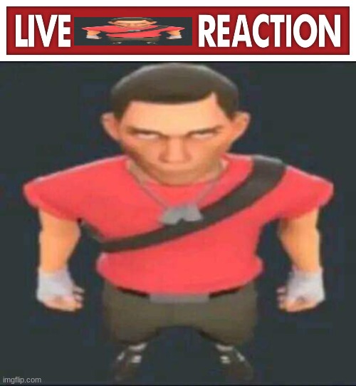 live scout reaction | image tagged in live x reaction | made w/ Imgflip meme maker