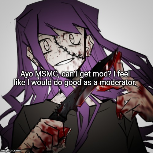 ??? | Ayo MSMG, can I get mod? I feel like I would do good as a moderator. | image tagged in insane status,moderators | made w/ Imgflip meme maker