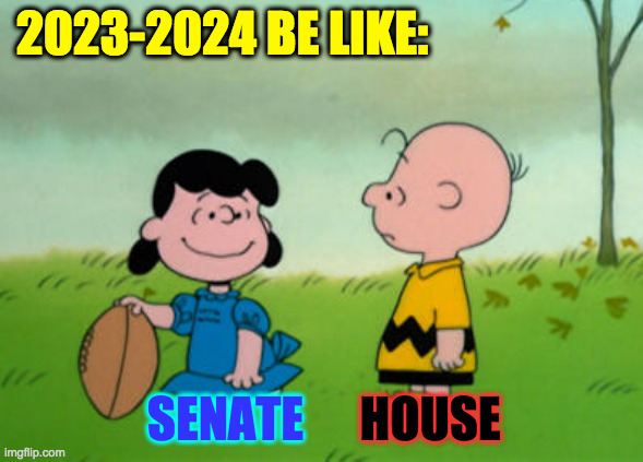 I've made up my mind to enjoy it, no matter what. | 2023-2024 BE LIKE:; SENATE; HOUSE | image tagged in memes,senate,house,charlie brown | made w/ Imgflip meme maker