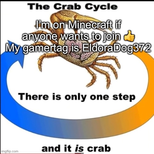 Crab. | I’m on Minecraft if anyone wants to join 👍
My gamertag is EldoraDog372 | image tagged in crab | made w/ Imgflip meme maker