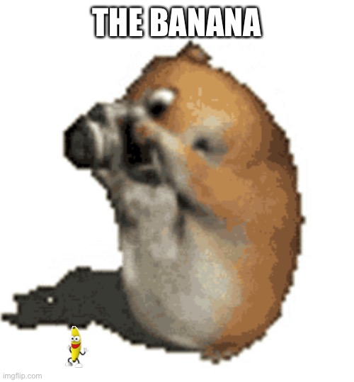 Caught in 4k | THE BANANA | image tagged in caught in 4k | made w/ Imgflip meme maker