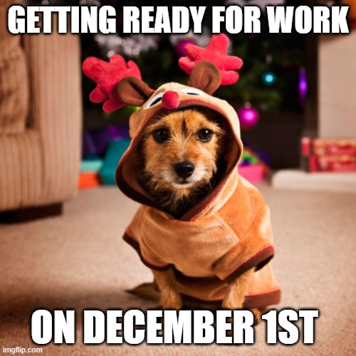 December 1st | GETTING READY FOR WORK; ON DECEMBER 1ST | image tagged in christmas,pets,memes,funny memes,holidays | made w/ Imgflip meme maker
