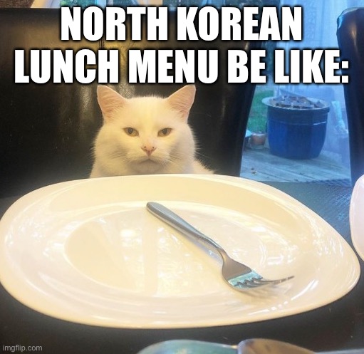 unless yo rich | NORTH KOREAN LUNCH MENU BE LIKE: | image tagged in smudge no food | made w/ Imgflip meme maker