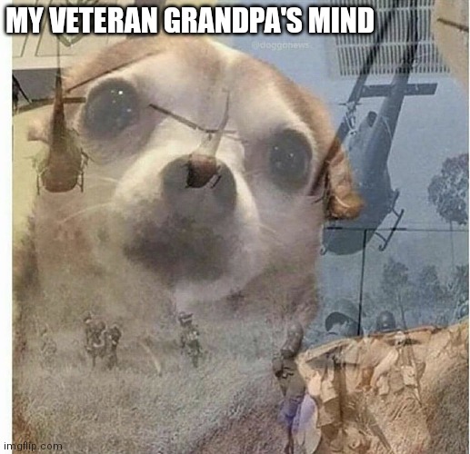 Has your grandpa been like this | MY VETERAN GRANDPA'S MIND | image tagged in ptsd chihuahua | made w/ Imgflip meme maker