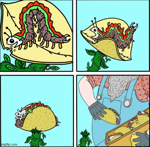 I like taco | image tagged in dark,humor | made w/ Imgflip meme maker