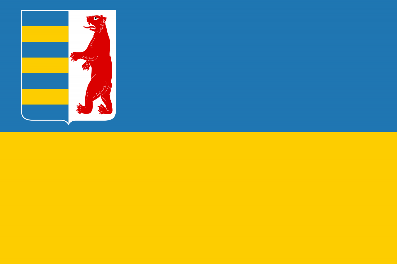 High Quality Transcarpathian Flag Blank Meme Template