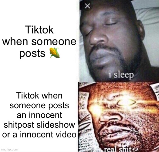 I sleep, real sh** | Tiktok when someone posts 🌽; Tiktok when someone posts an innocent shitpost slideshow or a innocent video | image tagged in i sleep real sh | made w/ Imgflip meme maker