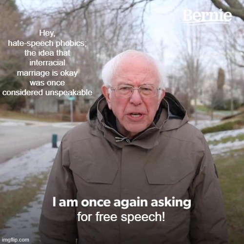 Bernie I Am Once Again Asking For Your Support | Hey, hate-speech phobics; the idea that interracial marriage is okay was once considered unspeakable; for free speech! | image tagged in memes,bernie i am once again asking for your support | made w/ Imgflip meme maker