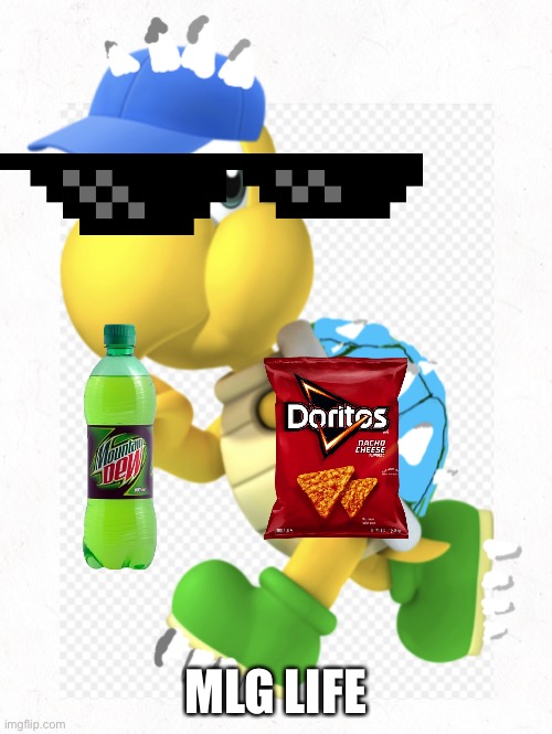 My OC | MLG LIFE | image tagged in my oc,koopa troopa | made w/ Imgflip meme maker