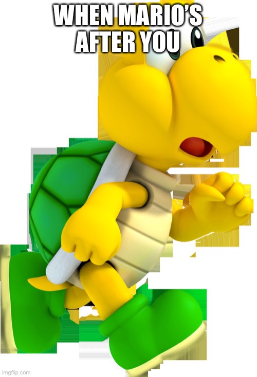 SCARED KOOPA | WHEN MARIO’S AFTER YOU | image tagged in scared koopa,koopa troopa | made w/ Imgflip meme maker