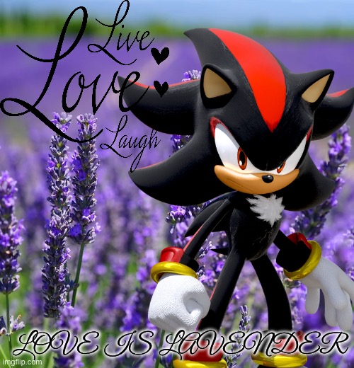 LOVE IS LAVENDER | image tagged in shadow the hedgehog,memes,lavender,love,live laugh love,sonic the hedgehog | made w/ Imgflip meme maker