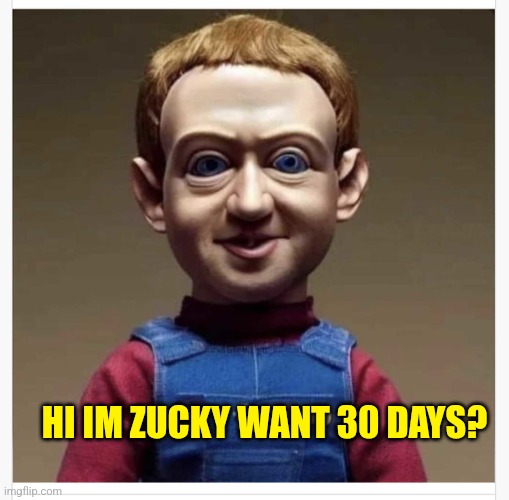 Zucky | HI IM ZUCKY WANT 30 DAYS? | image tagged in zucky | made w/ Imgflip meme maker