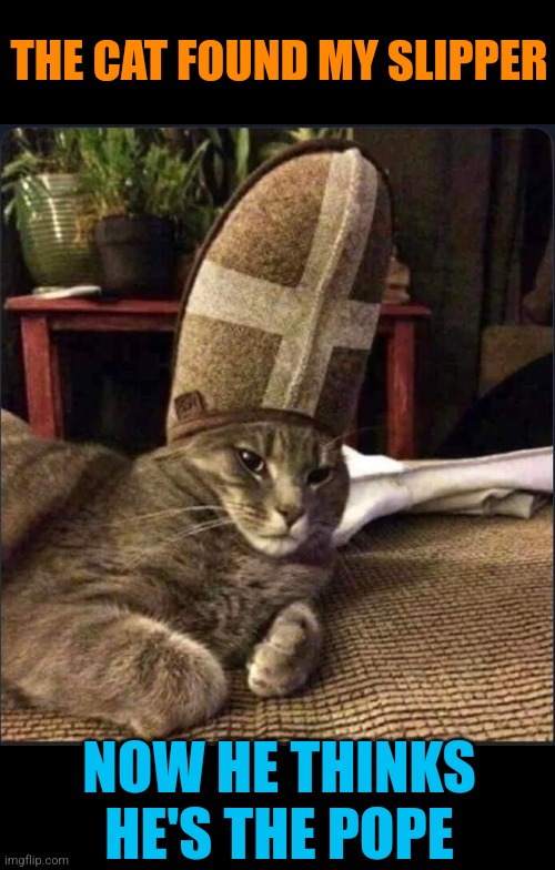 Pope Pawus III | THE CAT FOUND MY SLIPPER; NOW HE THINKS HE'S THE POPE | image tagged in funny cats,pope,cat,slippers,stupid,cats | made w/ Imgflip meme maker