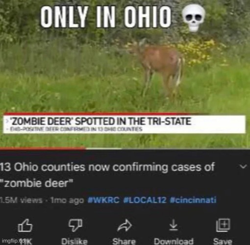 Only in Ohio | image tagged in ohio,ohio memes,only in ohio | made w/ Imgflip meme maker