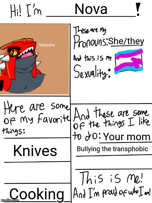 It's been awhile since I was here so I'm posting this I guess | Nova; She/they; Your mom; Knives; Bullying the transphobic; Cooking | image tagged in lgbtq stream account profile | made w/ Imgflip meme maker