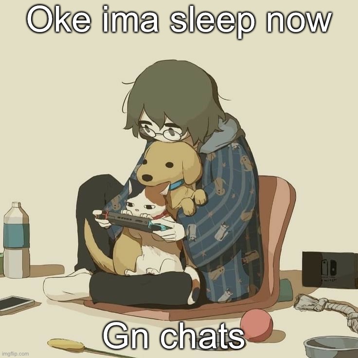May the bitches be with you | Oke ima sleep now; Gn chats | image tagged in avogado6 | made w/ Imgflip meme maker