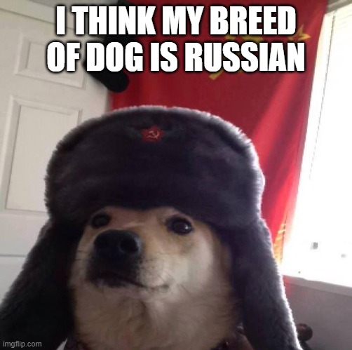 Doggo in soviet Russia... | I THINK MY BREED OF DOG IS RUSSIAN | image tagged in doggo in soviet russia | made w/ Imgflip meme maker