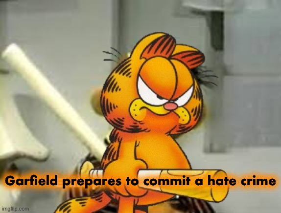 Garfield prepares to commit a hate crime | made w/ Imgflip meme maker