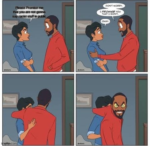 Please Promise me that you are not gonna say racist stuff in public | image tagged in promise me you wont blank | made w/ Imgflip meme maker