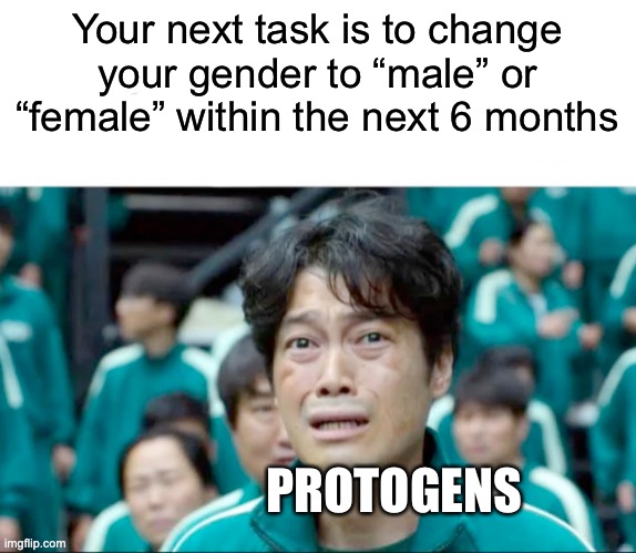 No more Zoophiles! |  Your next task is to change your gender to “male” or “female” within the next 6 months; PROTOGENS | image tagged in your next task is to-,anti furry,memes,funny,based | made w/ Imgflip meme maker