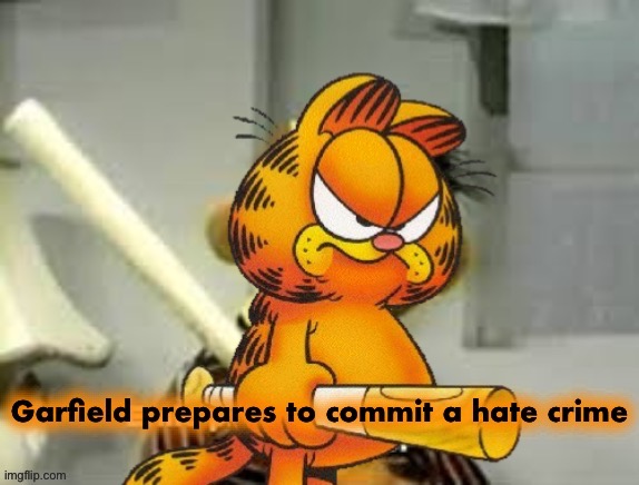 Garfield prepares to commit a hate crime | image tagged in garfield prepares to commit a hate crime | made w/ Imgflip meme maker