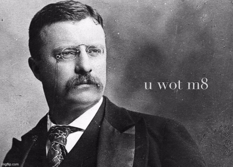 Teddy Roosevelt u wot m8 | image tagged in teddy roosevelt u wot m8 | made w/ Imgflip meme maker