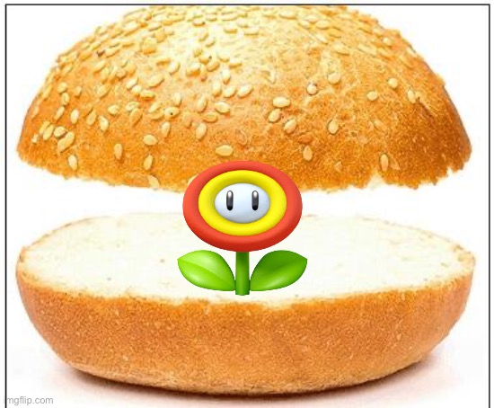 Nothing burger | image tagged in nothing burger | made w/ Imgflip meme maker