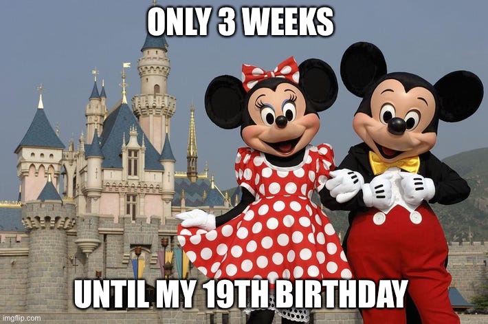 3 weeks until My 19th Birthday | ONLY 3 WEEKS; UNTIL MY 19TH BIRTHDAY | image tagged in mickey mouse,minnie mouse,disney,disneyland,disney world | made w/ Imgflip meme maker
