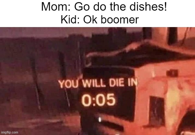 perish | Mom: Go do the dishes! Kid: Ok boomer | image tagged in memes | made w/ Imgflip meme maker