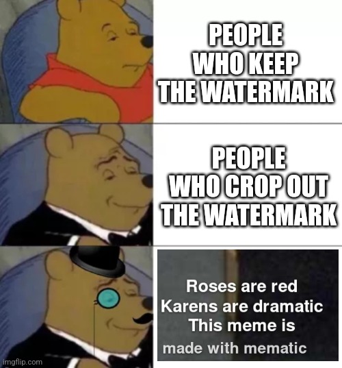 The watermark | PEOPLE WHO KEEP THE WATERMARK; PEOPLE WHO CROP OUT THE WATERMARK | image tagged in fancy pooh | made w/ Imgflip meme maker