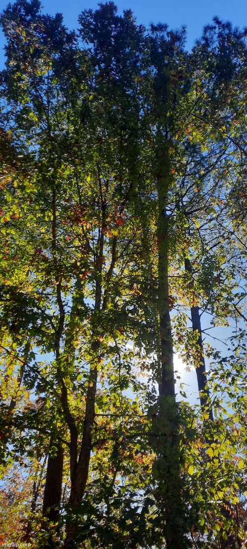 What do you think? | made w/ Imgflip meme maker