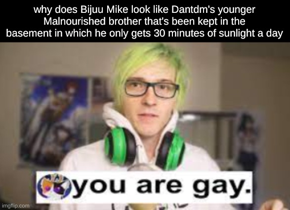 Also you are gay | why does Bijuu Mike look like Dantdm's younger Malnourished brother that's been kept in the basement in which he only gets 30 minutes of sunlight a day | made w/ Imgflip meme maker