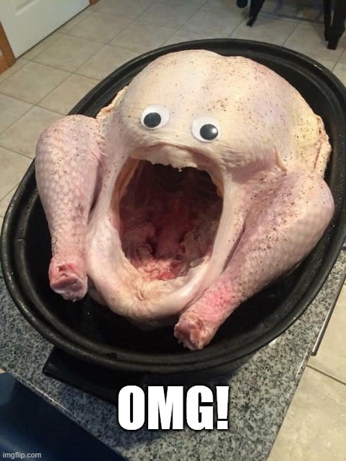 OMG! | OMG! | image tagged in omg turkey | made w/ Imgflip meme maker