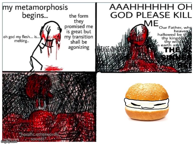 the metamorphosis | image tagged in the metamorphosis | made w/ Imgflip meme maker