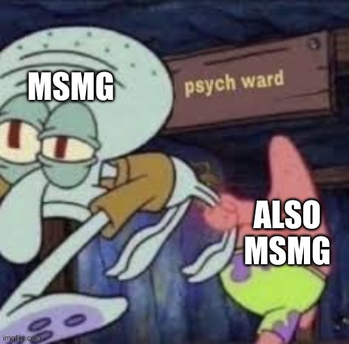 MSMG; ALSO MSMG | made w/ Imgflip meme maker
