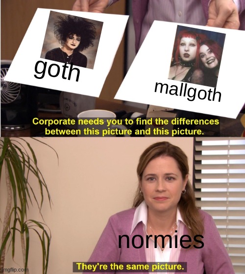 They're The Same Picture Meme | goth; mallgoth; normies | image tagged in memes,they're the same picture,goth memes | made w/ Imgflip meme maker