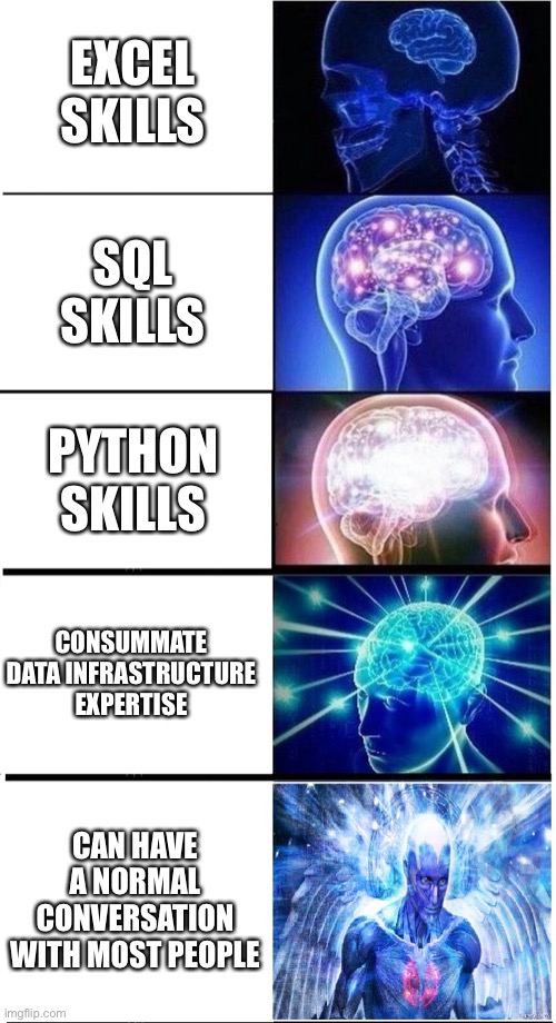 Expanding Brain 5-Part | EXCEL SKILLS; SQL SKILLS; PYTHON SKILLS; CONSUMMATE DATA INFRASTRUCTURE EXPERTISE; CAN HAVE A NORMAL CONVERSATION WITH MOST PEOPLE | image tagged in expanding brain 5-part,memes | made w/ Imgflip meme maker